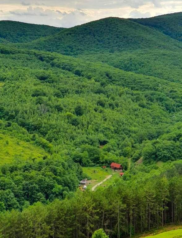 Cabana La Domnu' De Pe Vale Aiud Exterior foto