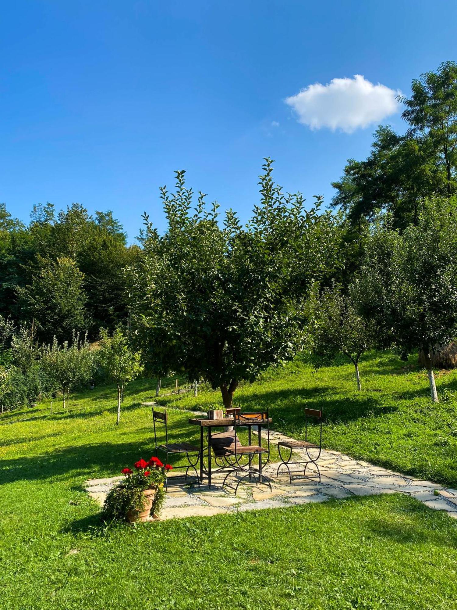 Cabana La Domnu' De Pe Vale Aiud Exterior foto