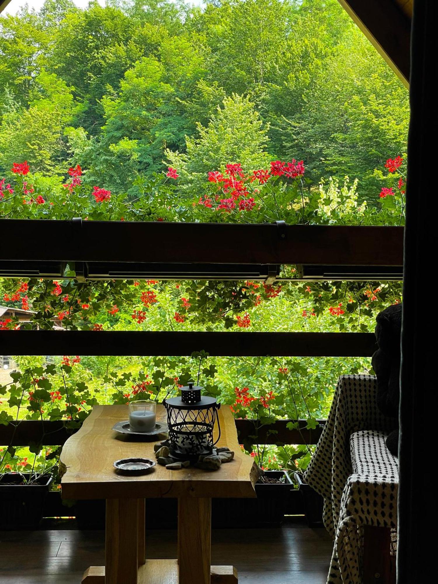 Cabana La Domnu' De Pe Vale Aiud Exterior foto